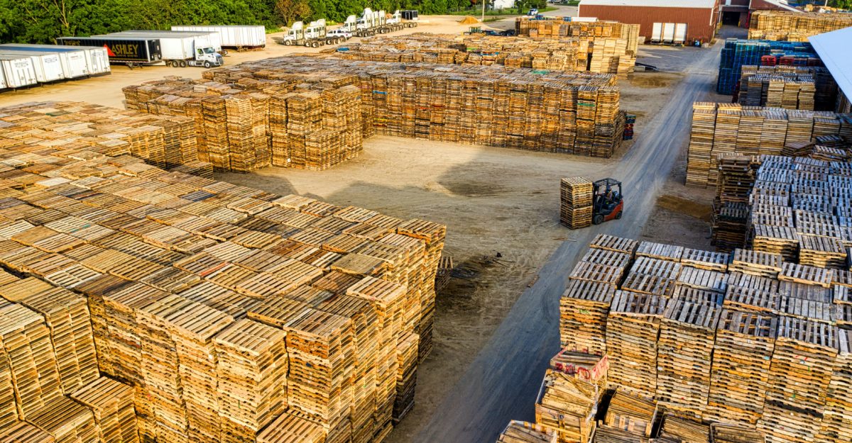 pallet, cambridge pallet, reprisal, complaints, michael pereira