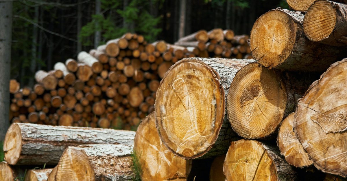 Lumber, West Fraser Timber Layoffs