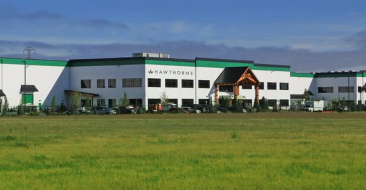 hawthorne-gardening-layoffs-severance