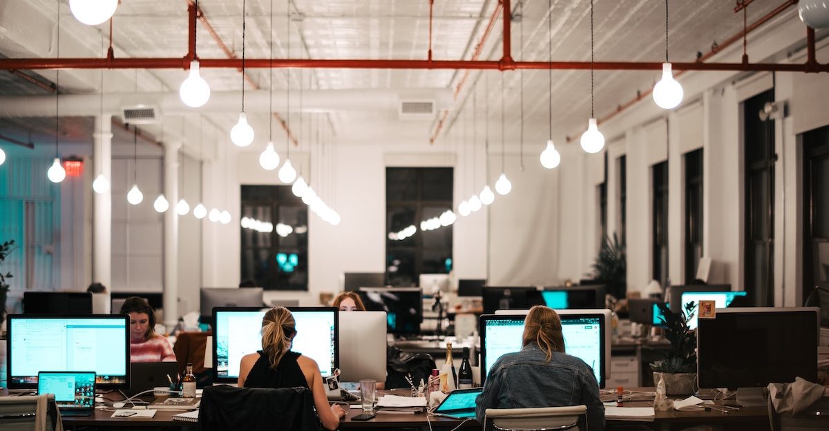 A number of employees are seated at a row of computers in a large workspace, with lightbulbs hanging overhead.