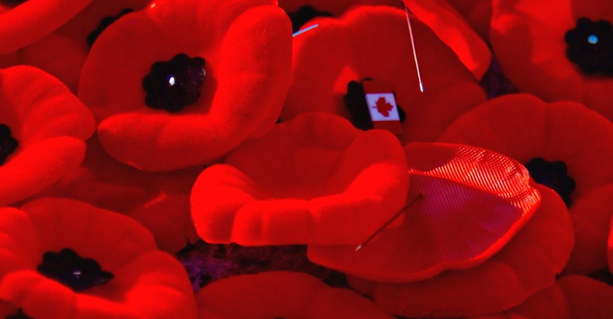 A photo of red poppies with pins in them. (Photo: Canadian Military Family Magazine / Google Images)