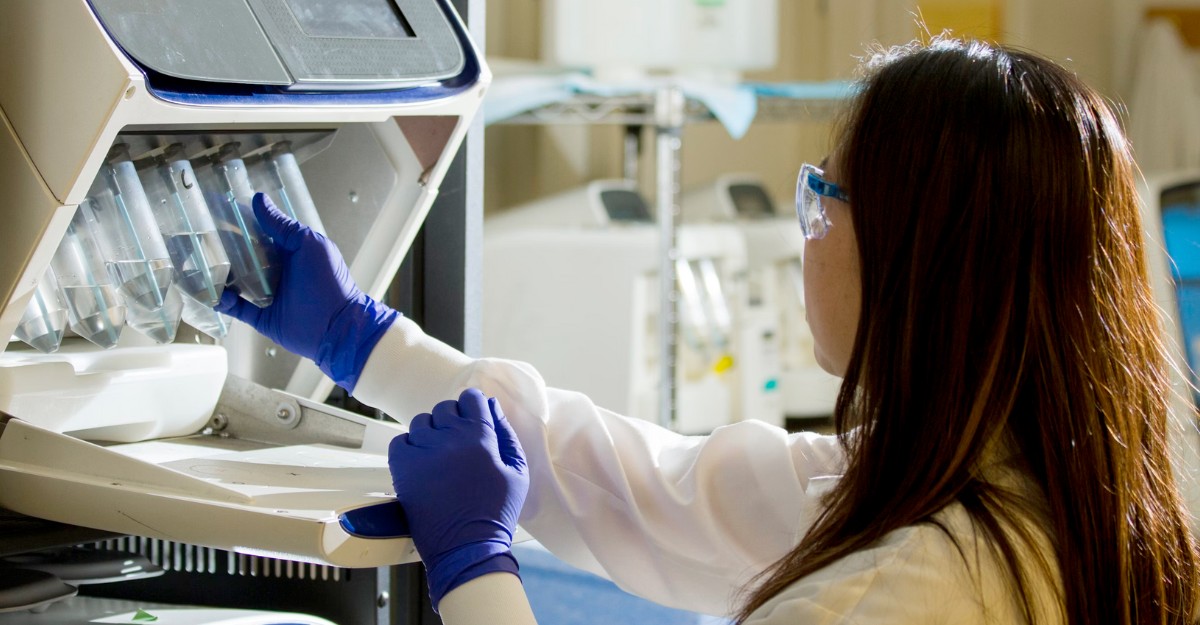 A scientist looking at various samples in a lab. (Photo: National Cancer Institute / Unsplash)