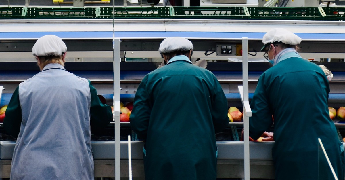Inside an apple processing company in northern Italy. (Photo: Arno Senoner / Unsplash)