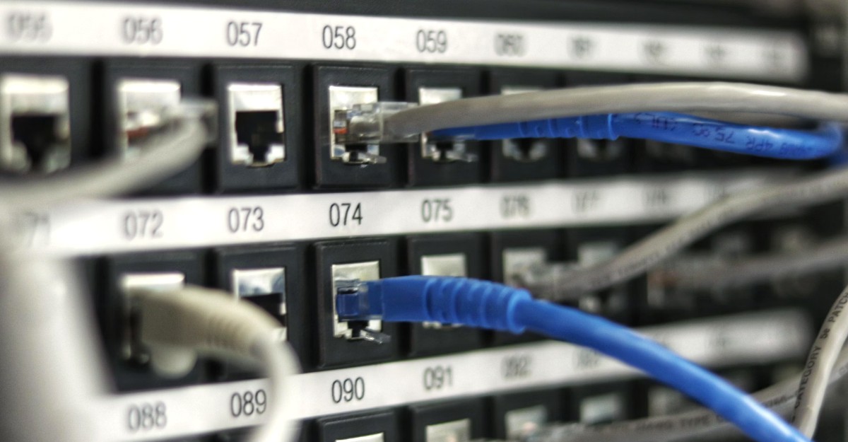 Close-up of network cables connected to server ports, representing Amazon Web Services (AWS) data infrastructure and recent layoffs affecting its cloud computing teams.