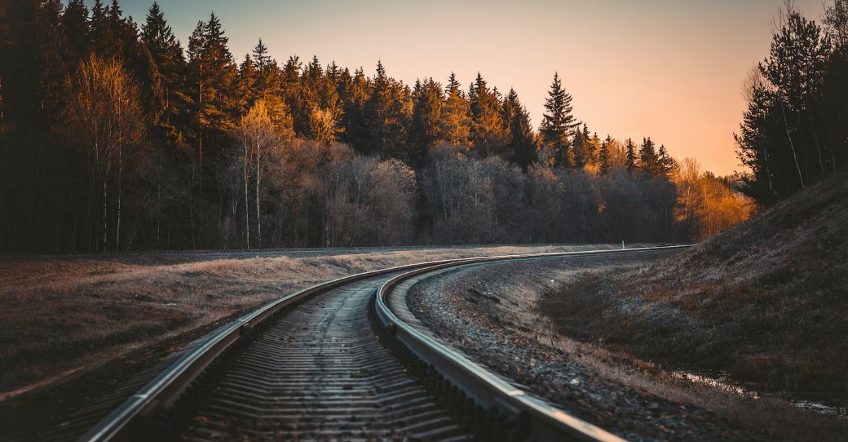 A photo of a railway in a wooded area. (Photo: Irina Iriser / Unsplash)